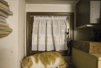 23_andgarage01.jpg