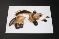 23_brokencat00.jpg