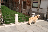 26_img1476.jpg