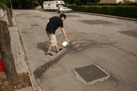 https://www.we-have-iuav.com/files/gimgs/th-23_23_trees03.jpg