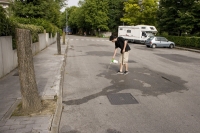 https://www.we-have-iuav.com/files/gimgs/th-23_23_trees05.jpg