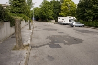 https://www.we-have-iuav.com/files/gimgs/th-23_23_trees06.jpg