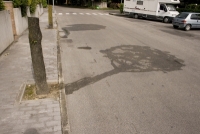https://www.we-have-iuav.com/files/gimgs/th-24_24_trees01.jpg
