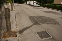 https://www.we-have-iuav.com/files/gimgs/th-24_24_trees04.jpg