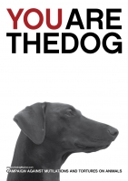 https://www.we-have-iuav.com/files/gimgs/th-25_25_youarethedoga31rgb.jpg