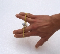 https://www.we-have-iuav.com/files/gimgs/th-46_46_1028062.jpg