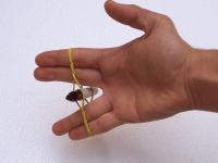 https://www.we-have-iuav.com/files/gimgs/th-46_46_1028063.jpg