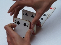 https://www.we-have-iuav.com/files/gimgs/th-48_48_carta.jpg