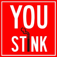 https://www.we-have-iuav.com/files/gimgs/th-68_68_you-stink.jpg