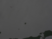 https://www.we-have-iuav.com/files/gimgs/th-71_71_p03-05.jpg